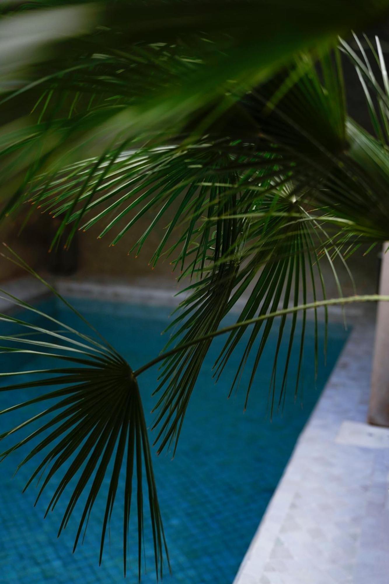 Riad Al Massarah Marrakesh Luaran gambar